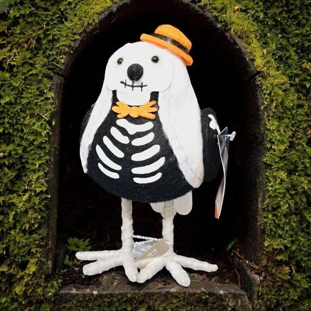 Target Featherly Friends Spritz Halloween Bird Skeleton-2020‎ BONESY Hyde Eek